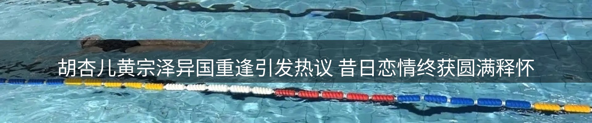 企业汇总